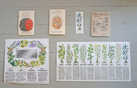 Herbalist and Artist Create Everyday Guides for Healthy Living Image